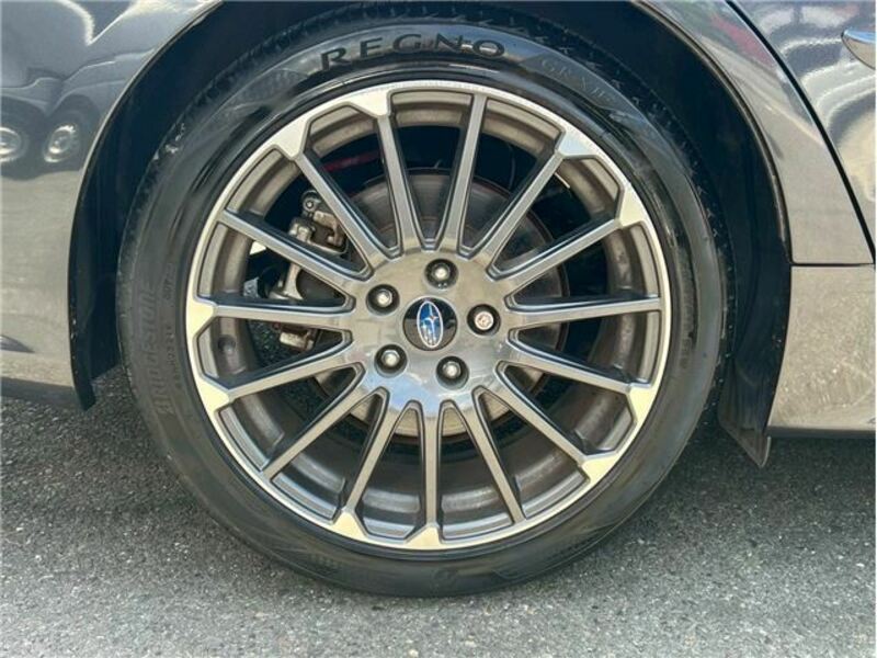 LEVORG