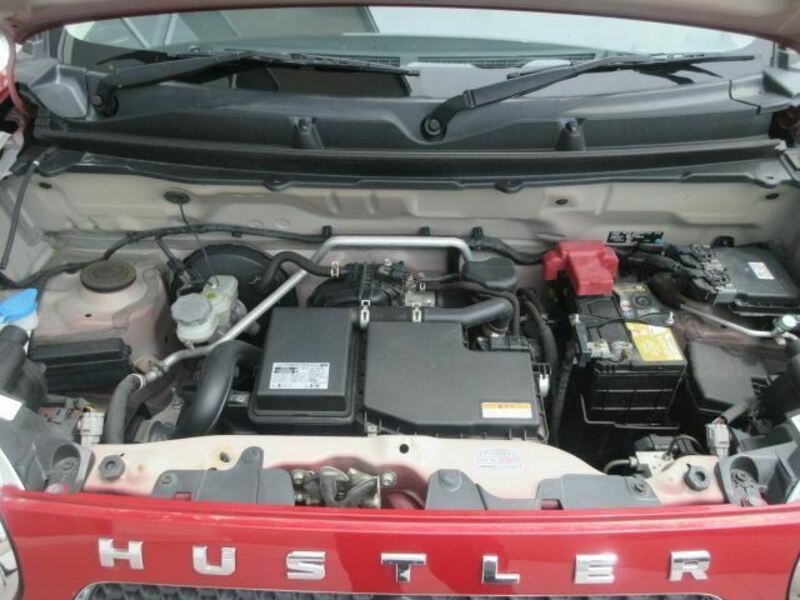 HUSTLER