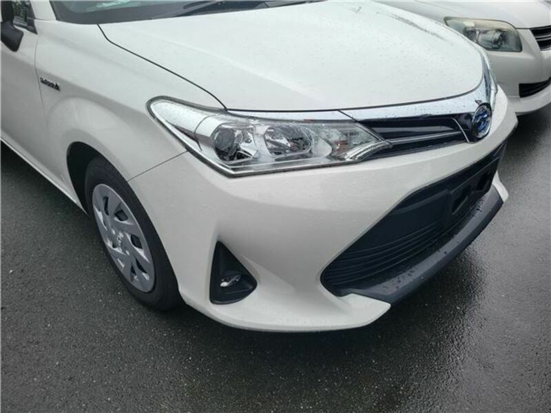 COROLLA FIELDER