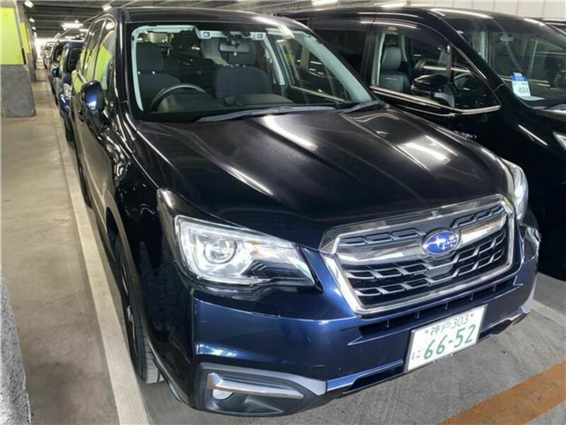FORESTER