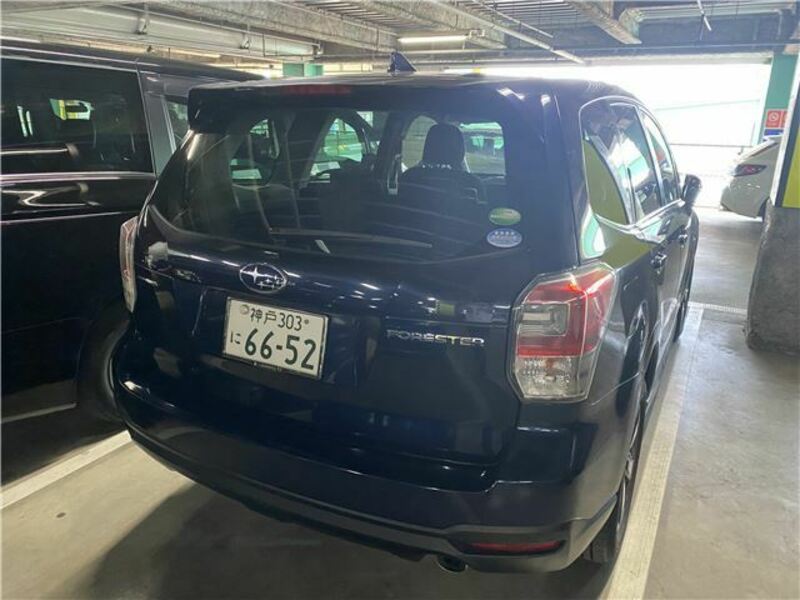 FORESTER