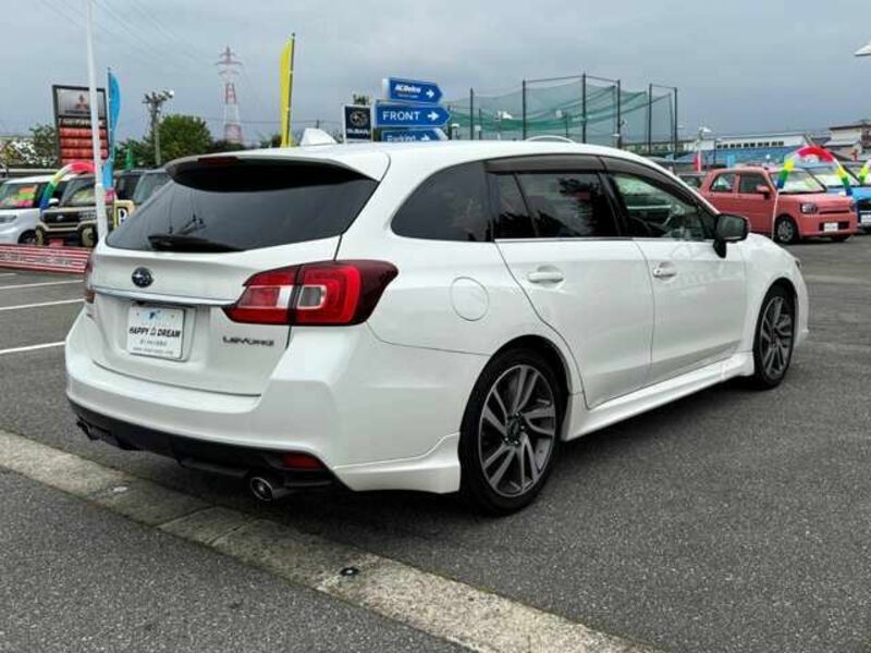 LEVORG