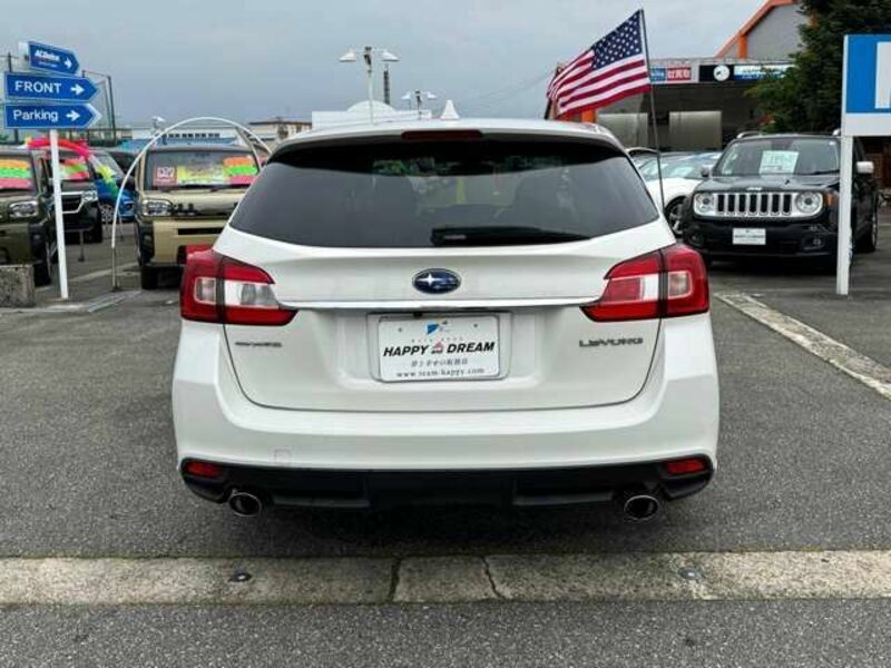LEVORG