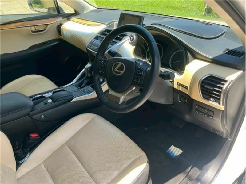 NX