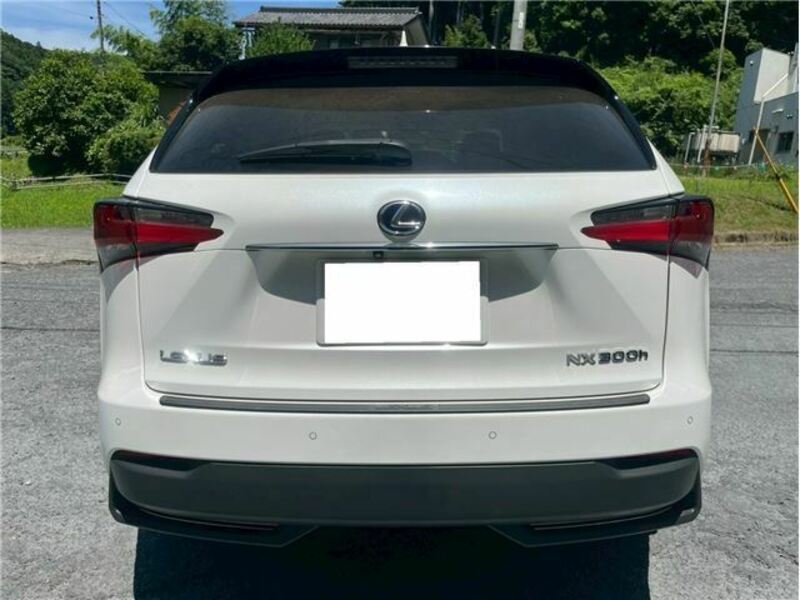 NX