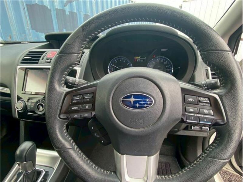 LEVORG