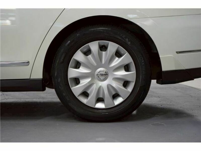 BLUEBIRD SYLPHY