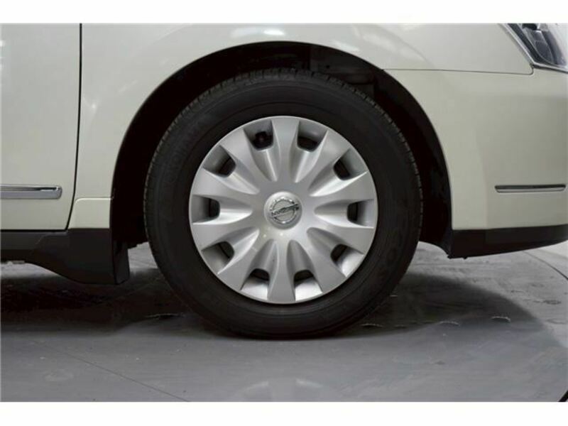 BLUEBIRD SYLPHY