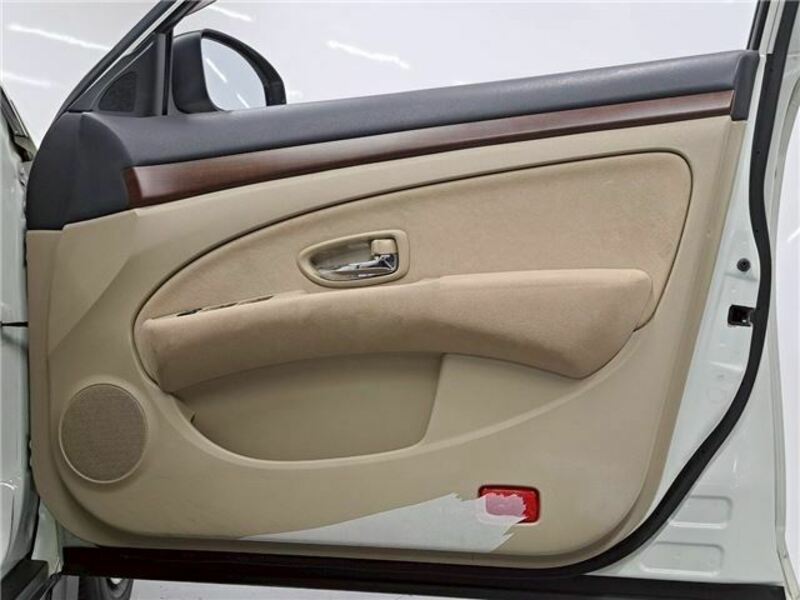 BLUEBIRD SYLPHY