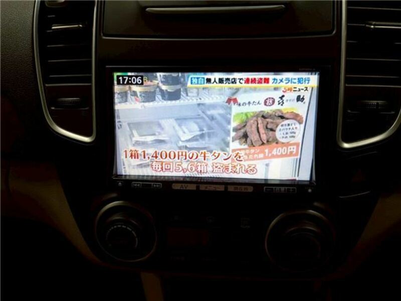 BLUEBIRD SYLPHY