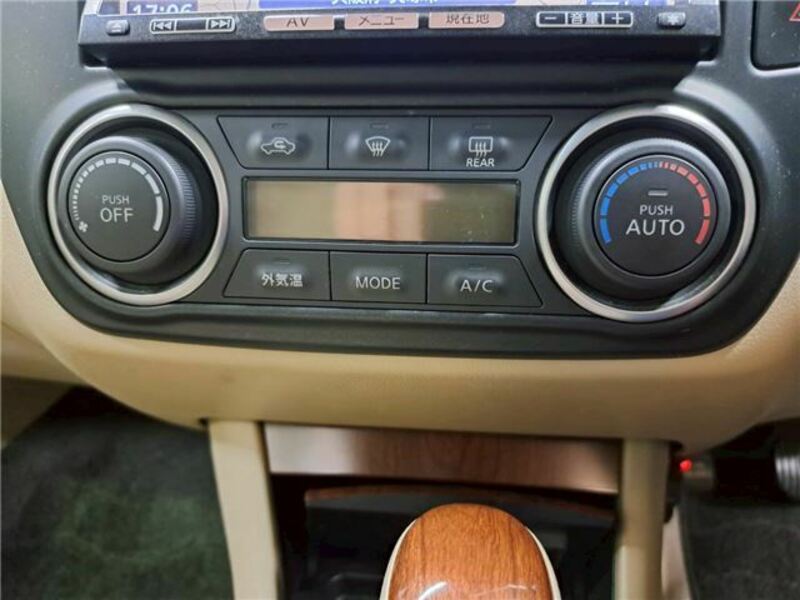 BLUEBIRD SYLPHY