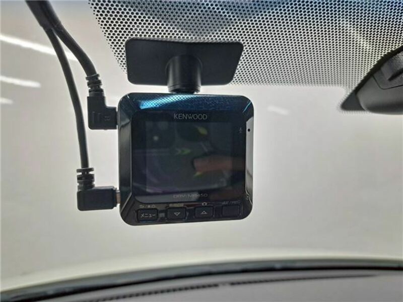 BLUEBIRD SYLPHY
