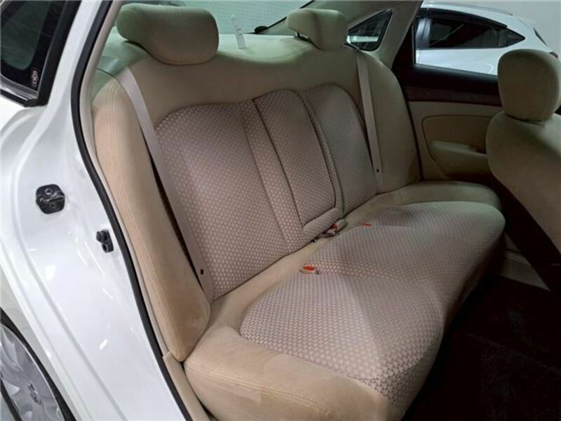 BLUEBIRD SYLPHY
