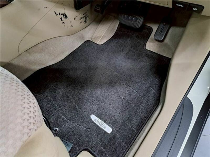 BLUEBIRD SYLPHY