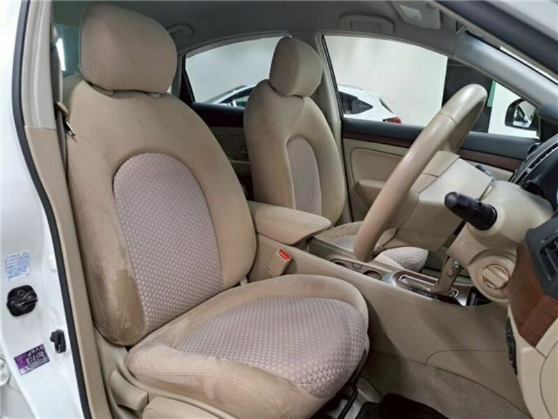 BLUEBIRD SYLPHY