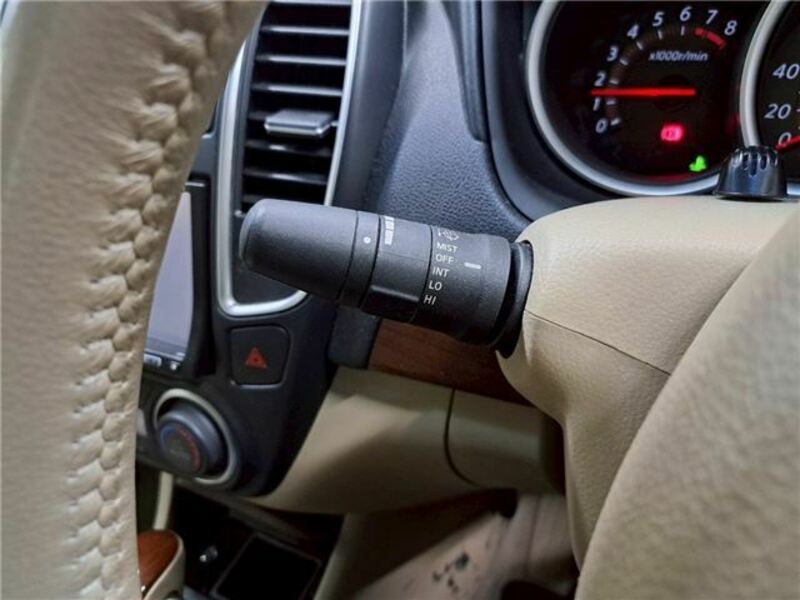 BLUEBIRD SYLPHY