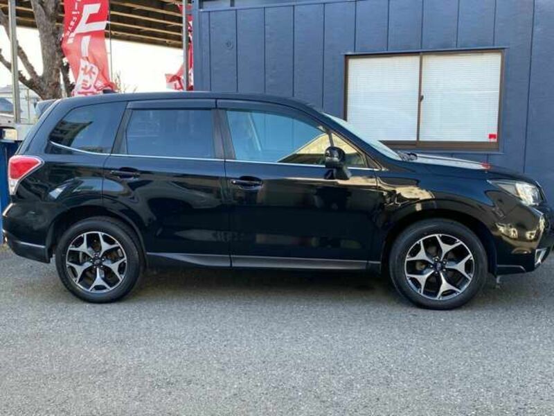 FORESTER