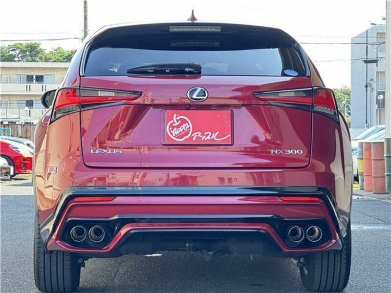 NX