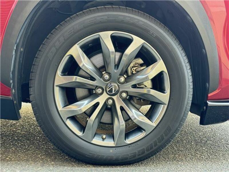 NX