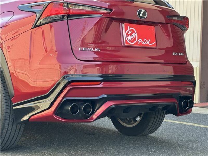 NX