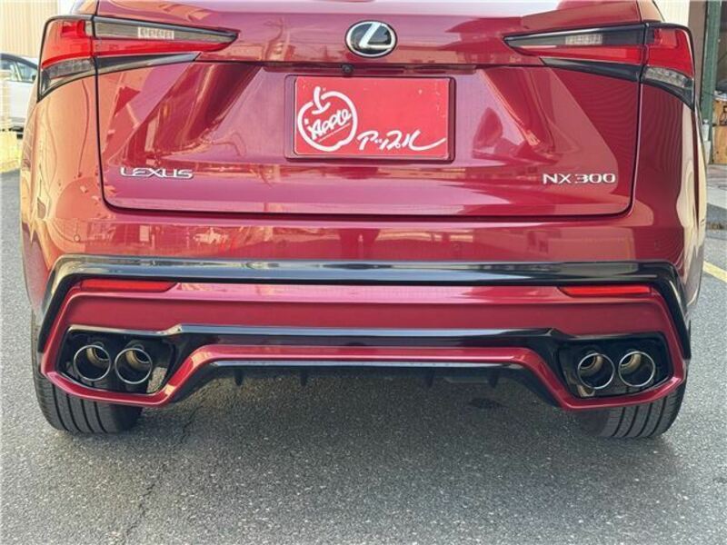 NX