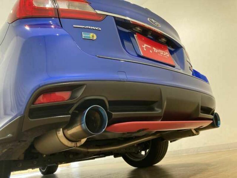 LEVORG