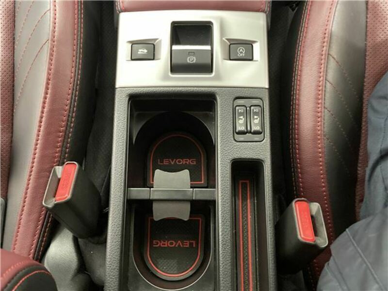 LEVORG