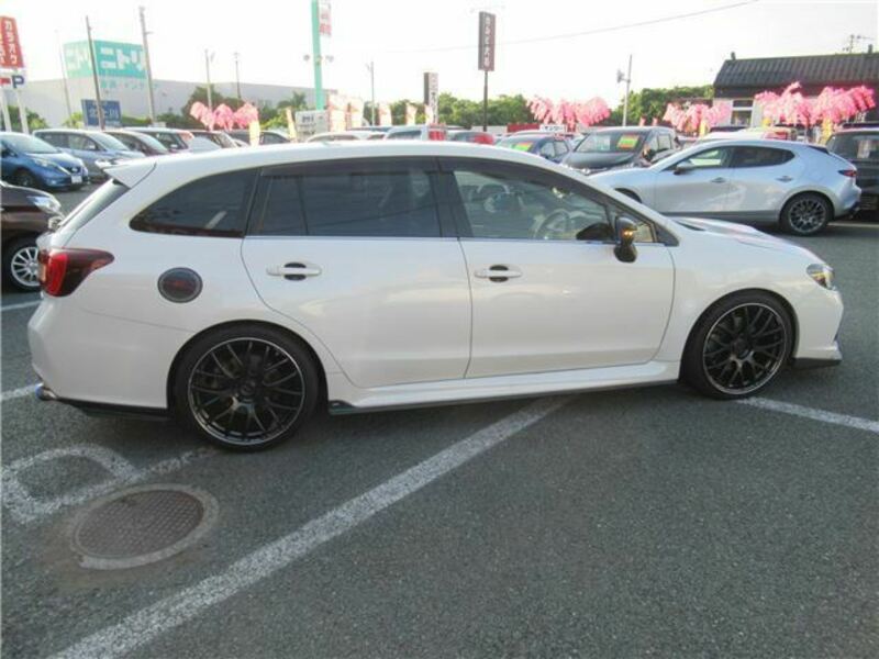 LEVORG