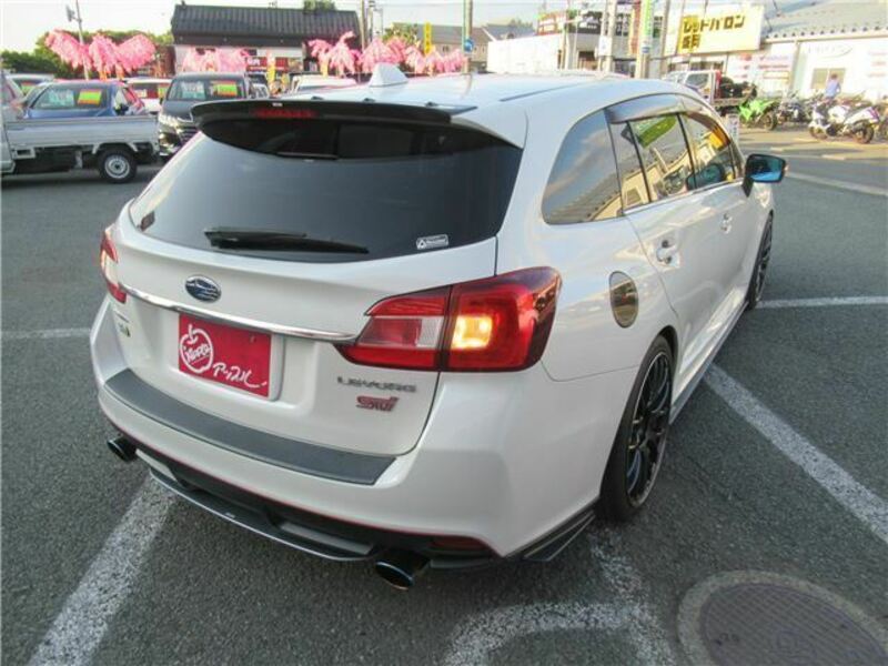 LEVORG