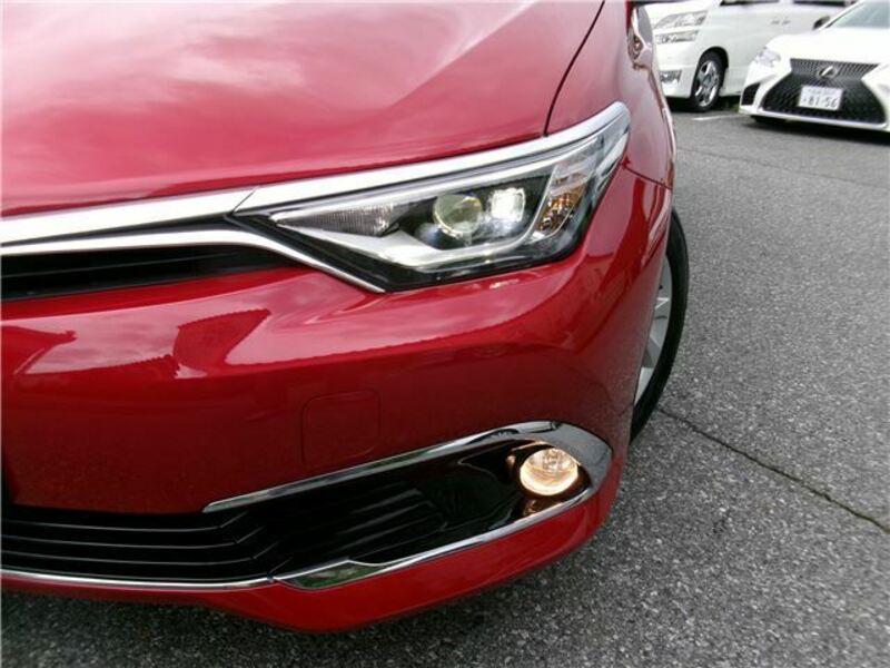 AURIS