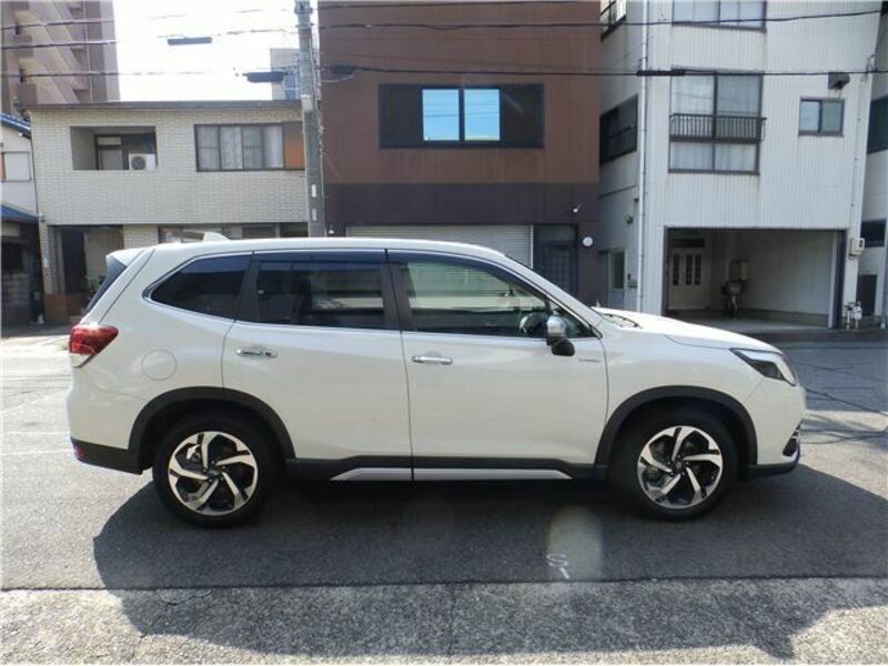 FORESTER