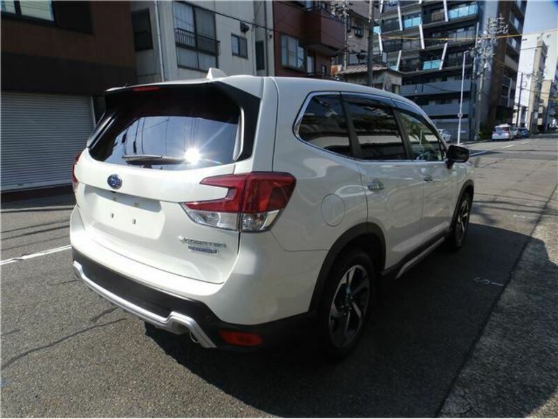 FORESTER