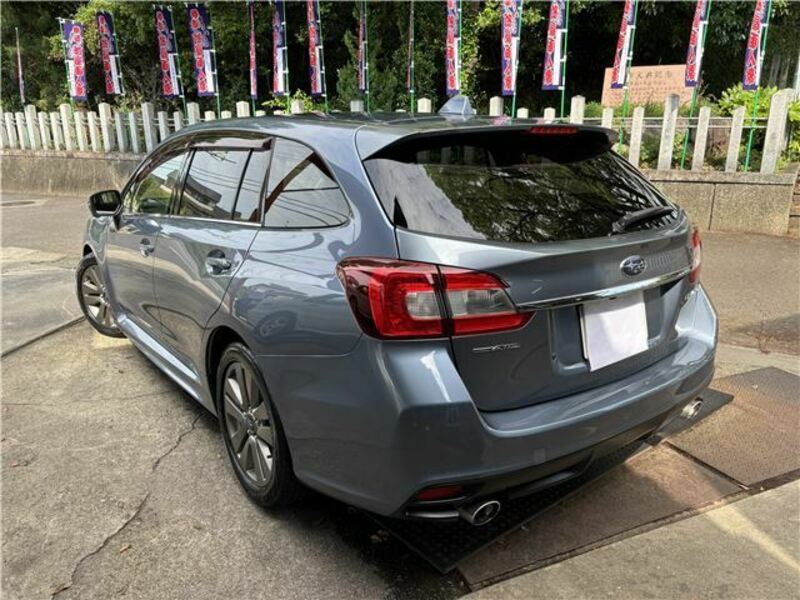 LEVORG