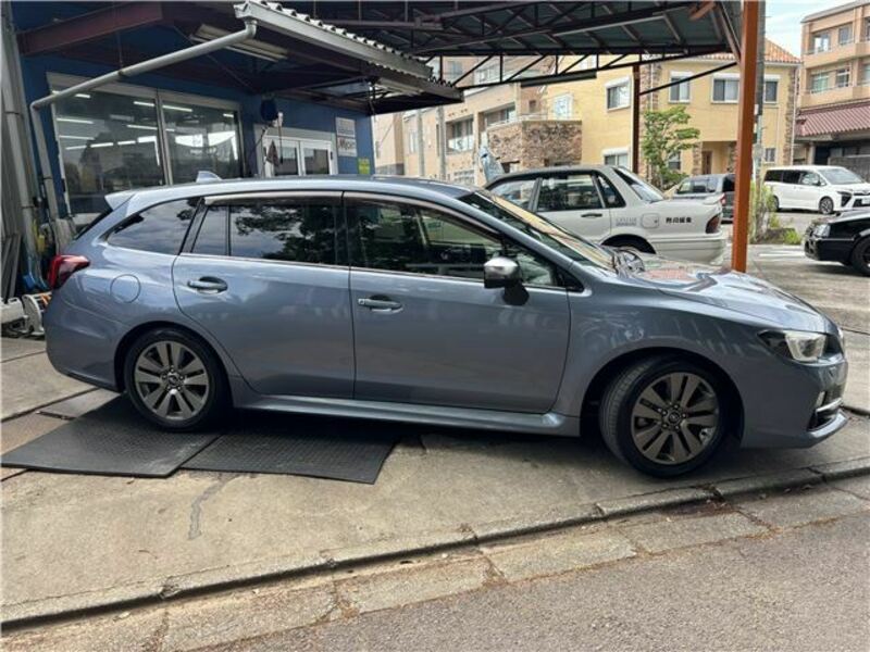 LEVORG