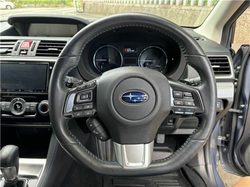 LEVORG