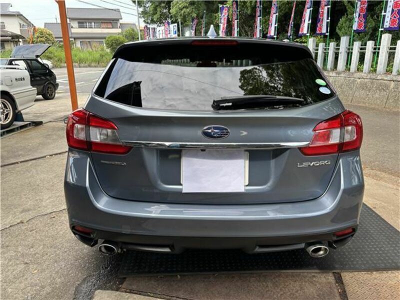 LEVORG