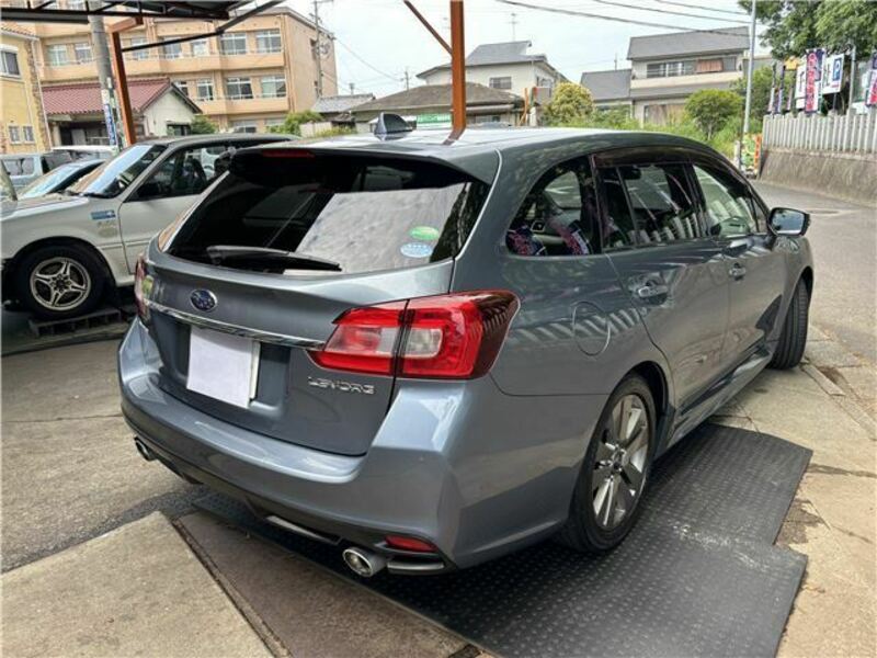 LEVORG