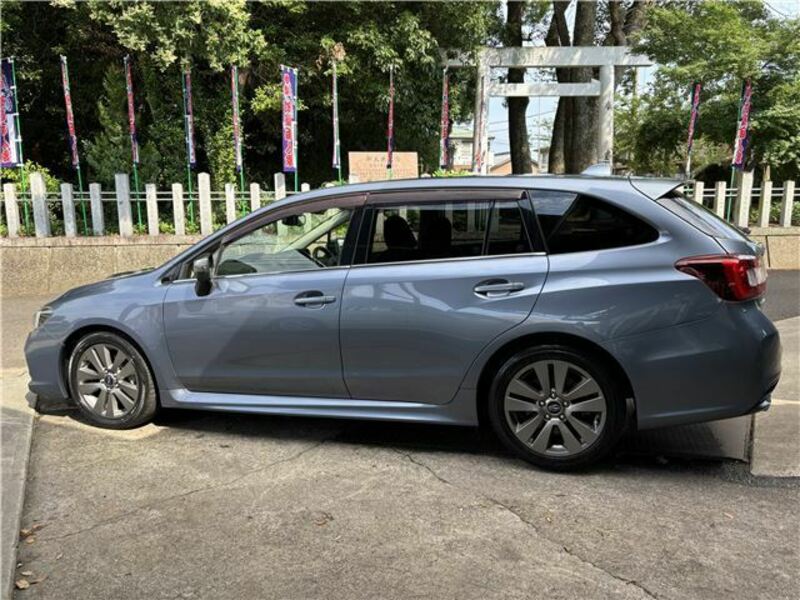 LEVORG