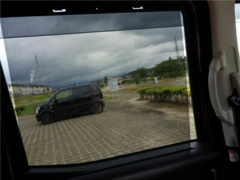 DAYZ ROOX