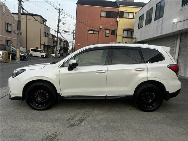 FORESTER