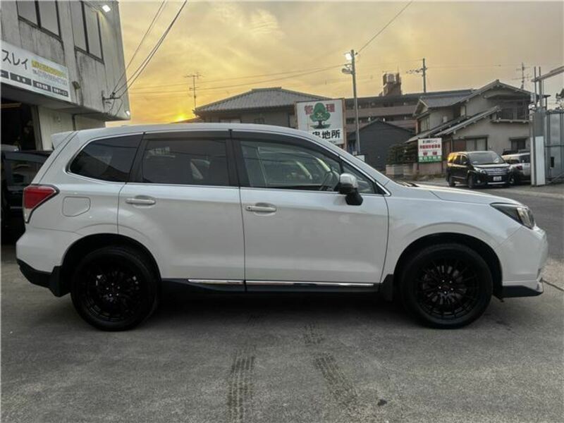 FORESTER