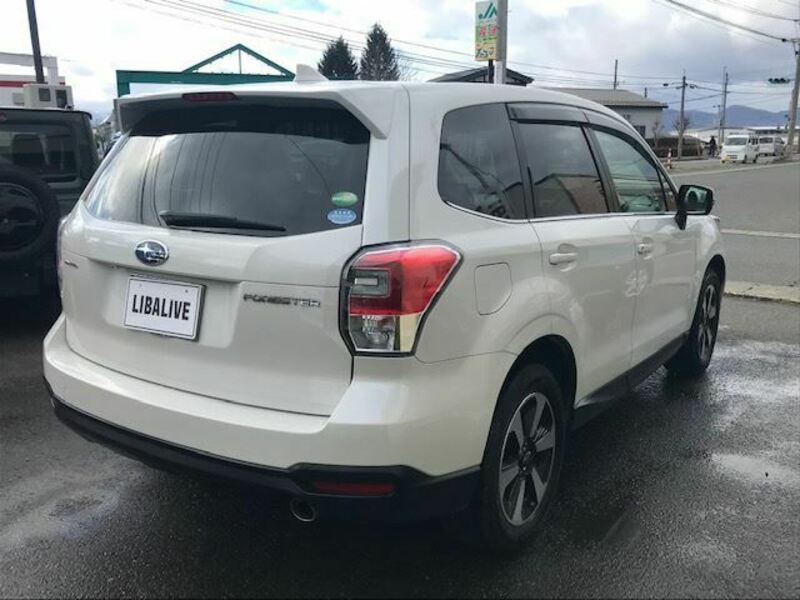 FORESTER