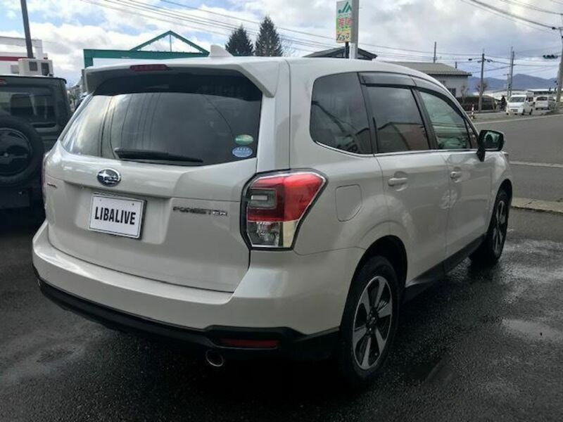 FORESTER