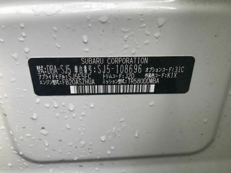 FORESTER