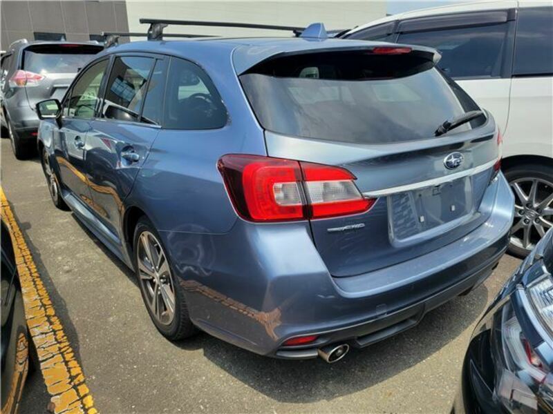 LEVORG