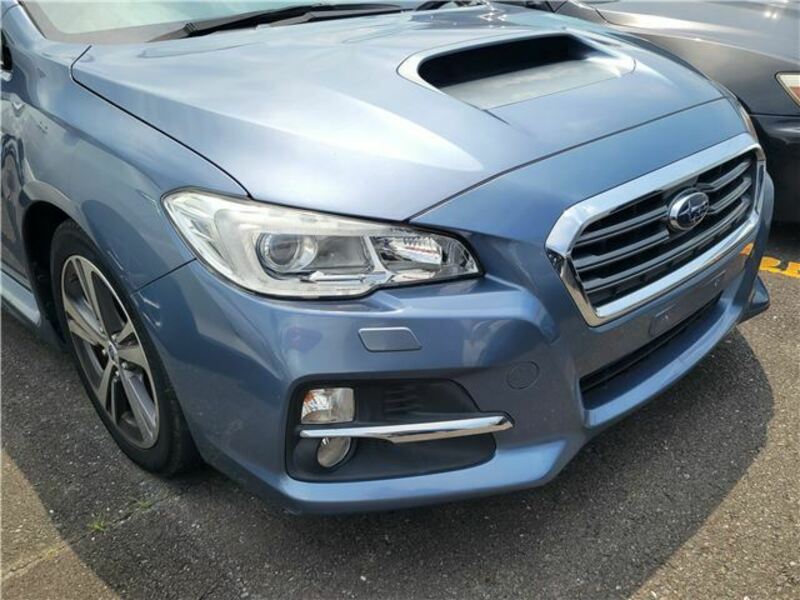 LEVORG