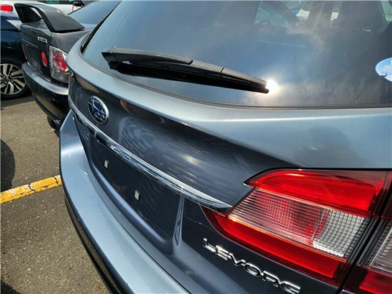 LEVORG
