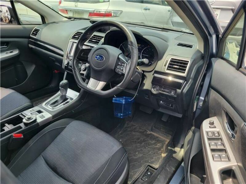 LEVORG