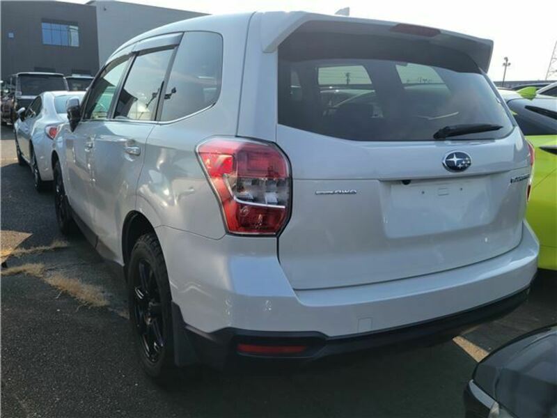 FORESTER