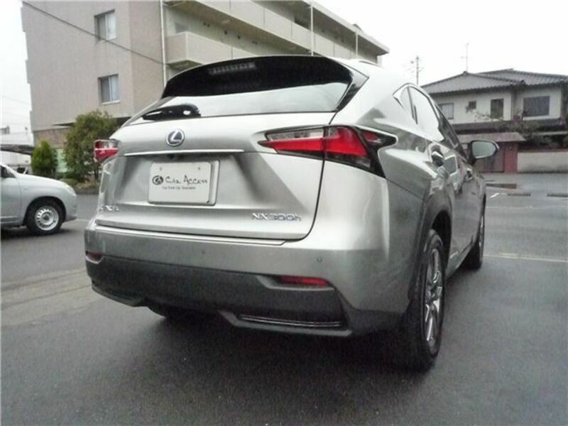 NX